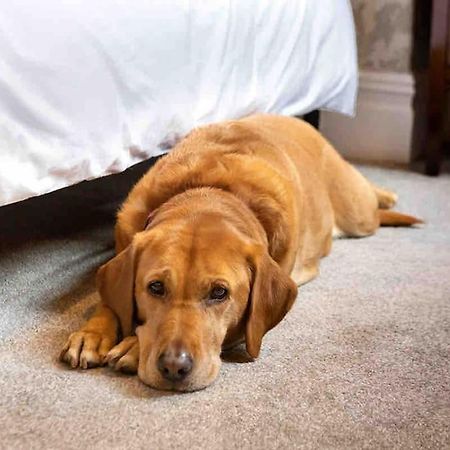 The Stanley Suite 1 Bedroom Apt Dog Friendly Patio 해러게이트 외부 사진